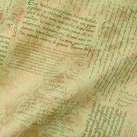 Blumenpapier Newsletter 59640